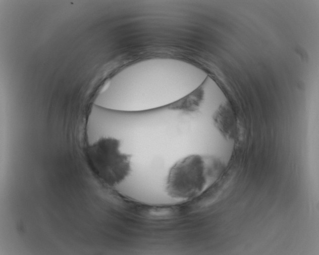 X0000115640357200911101101