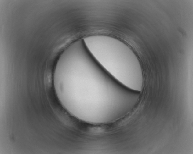 X0000115640358200911101101