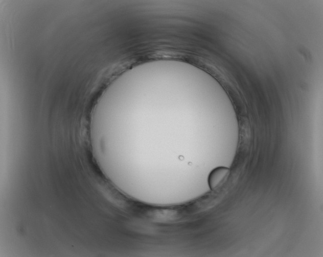 X0000115640361200911101101