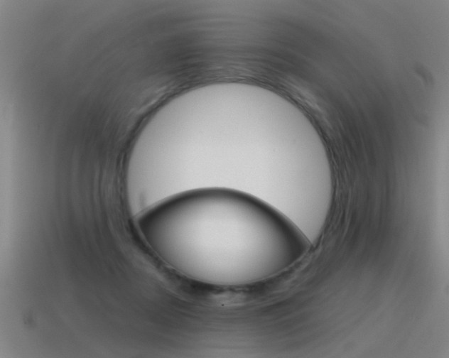 X0000115640362200911101101