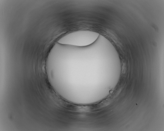 X0000115640363200911101101