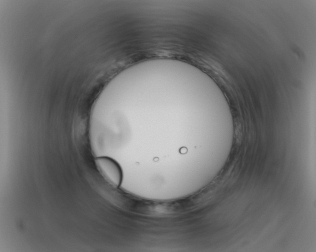 X0000115640365200911101101