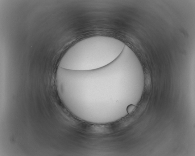 X0000115640367200911101101