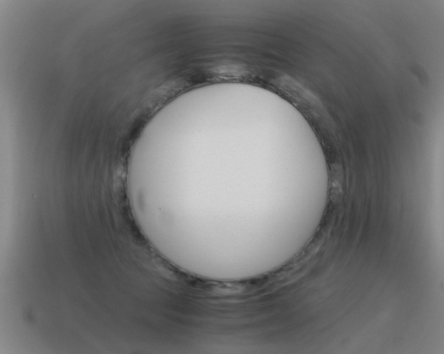 X0000115640369200911101101