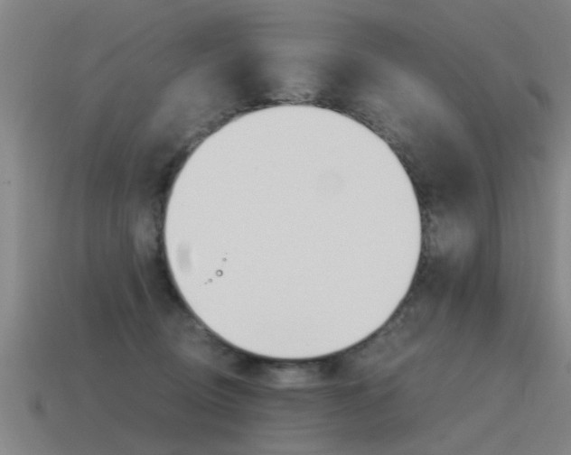 X0000115640370200911101101