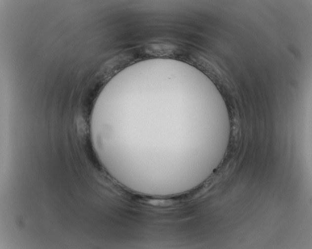 X0000115640371200911101101