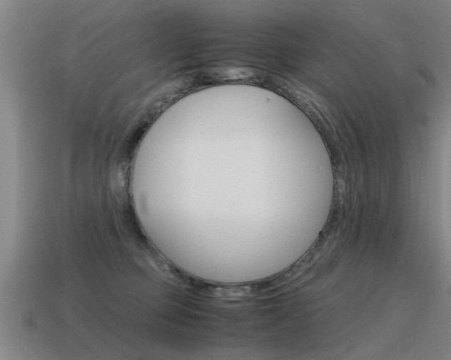 X0000115640373200911101101