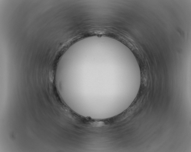 X0000115640374200911101101
