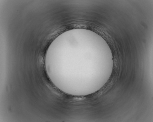 X0000115640375200911101101