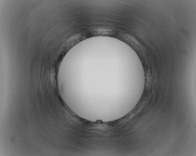 X0000115640377200911101101