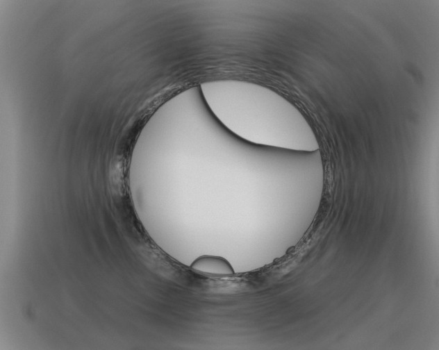 X0000115640378200911101101