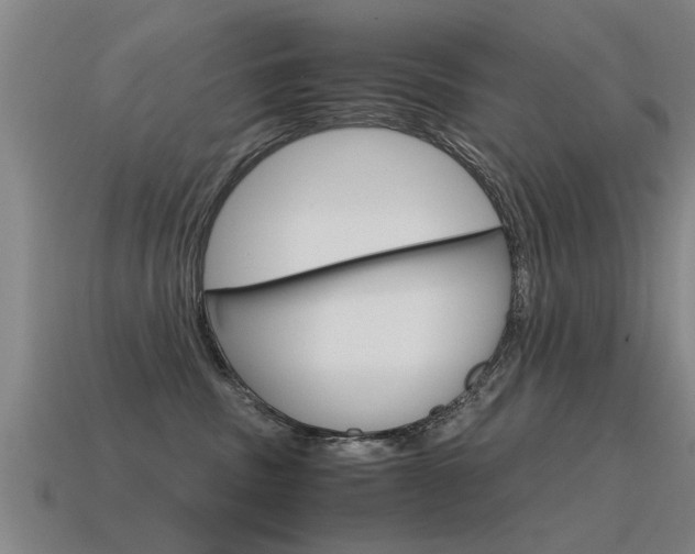 X0000115640379200911101101