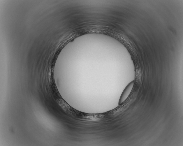 X0000115640381200911101101