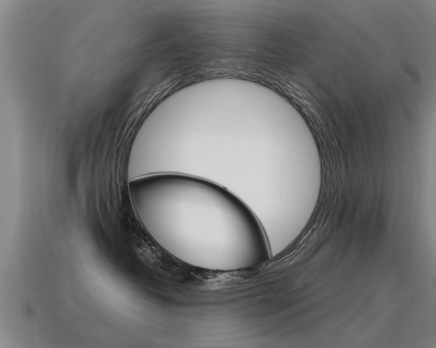X0000115640382200911101101