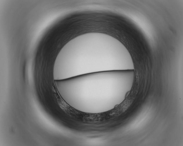 X0000115640383200911101101