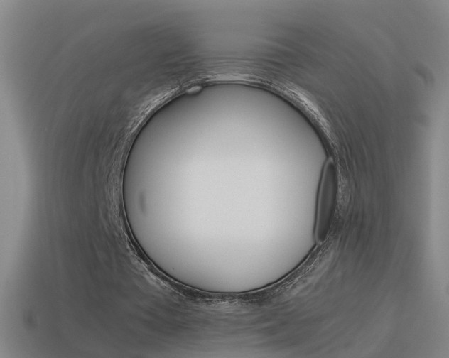 X0000115640385200911101100