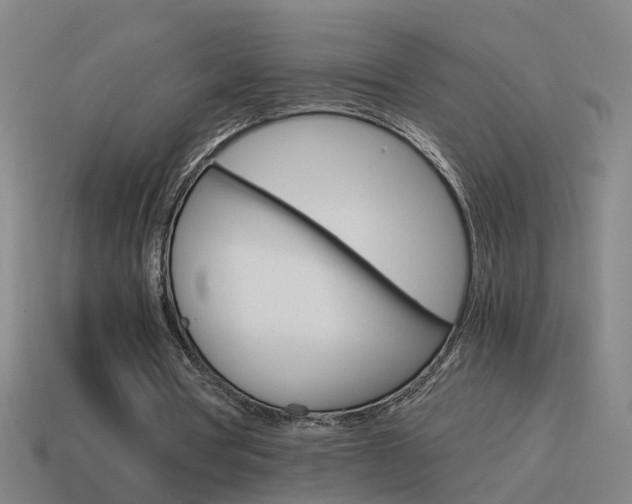 X0000115640386200911101100