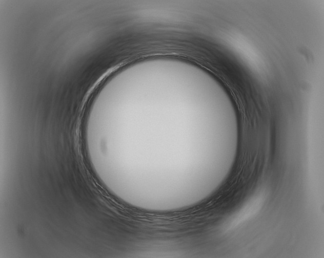 X0000115640387200911101100