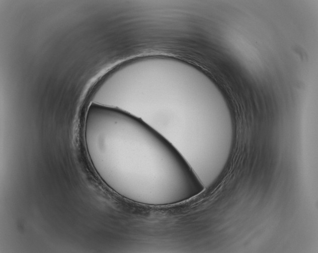 X0000115640388200911101100