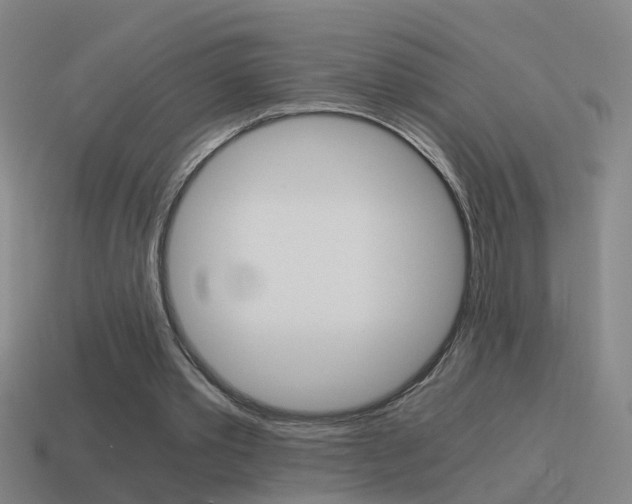 X0000115640389200911101100
