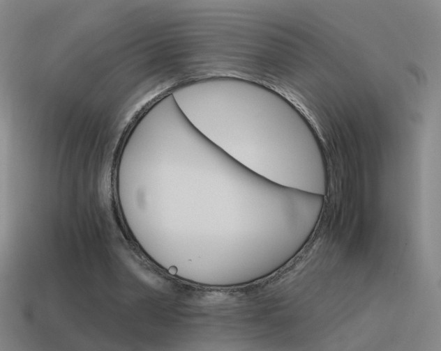 X0000115640390200911101100