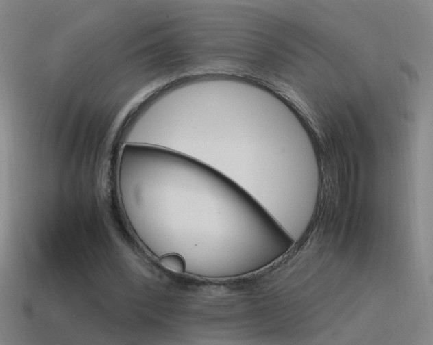 X0000115640392200911101100
