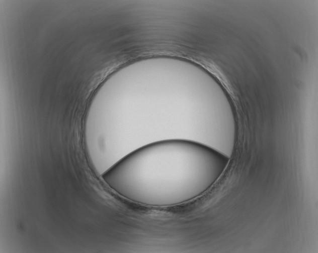 X0000115640393200911101100