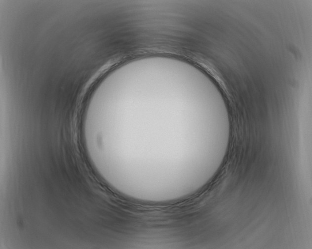 X0000115640395200911101100
