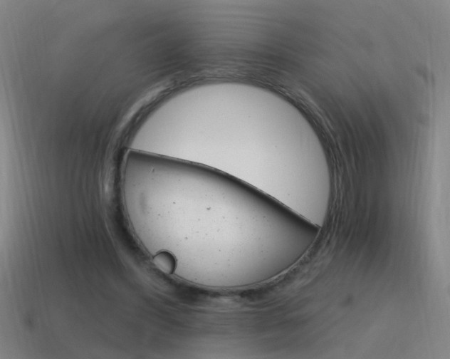 X0000115640396200911101100