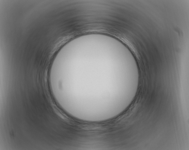 X0000115640397200911101100