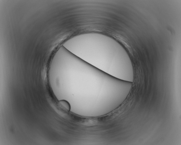 X0000115640398200911101100