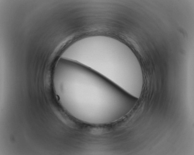 X0000115640400200911101100