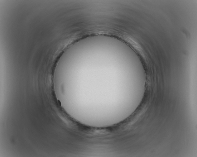 X0000115640401200911101100