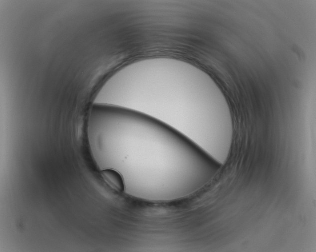 X0000115640404200911101100