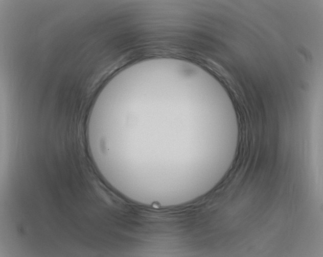 X0000115640405200911101100