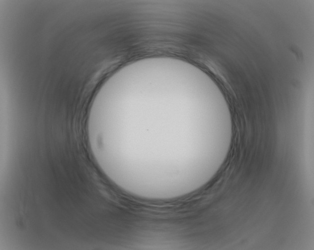 X0000115640407200911101100