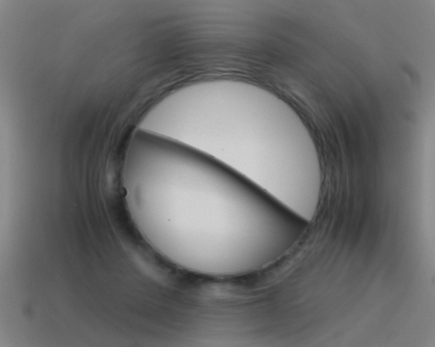 X0000115640408200911101100