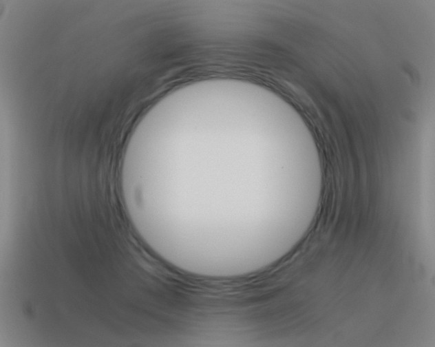 X0000115640409200911101100