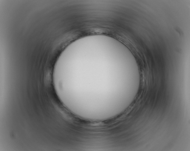 X0000115640410200911101100