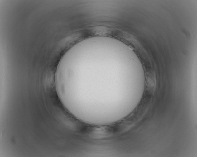 X0000115640411200911101100
