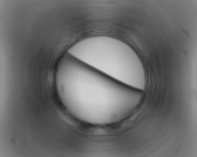 X0000115640412200911101100