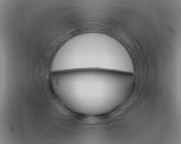 X0000115640413200911101100