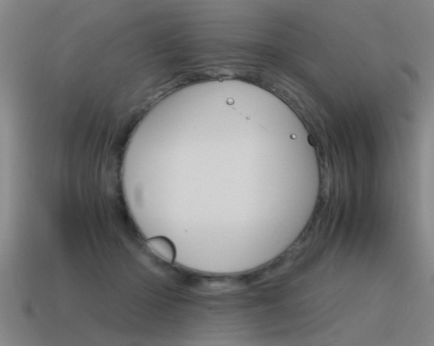 X0000115640414200911101100