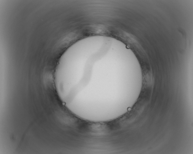 X0000115640415200911101100