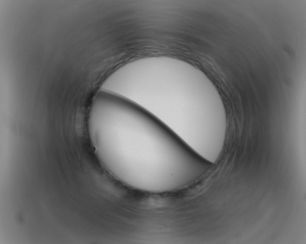 X0000115640416200911101100