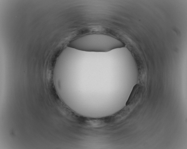 X0000115640417200911101100