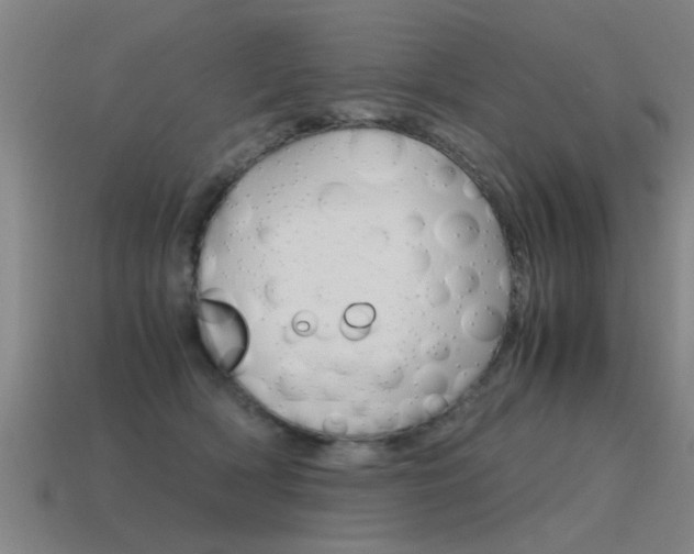 X0000115640418200911101100