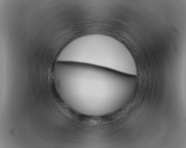 X0000115640420200911101100
