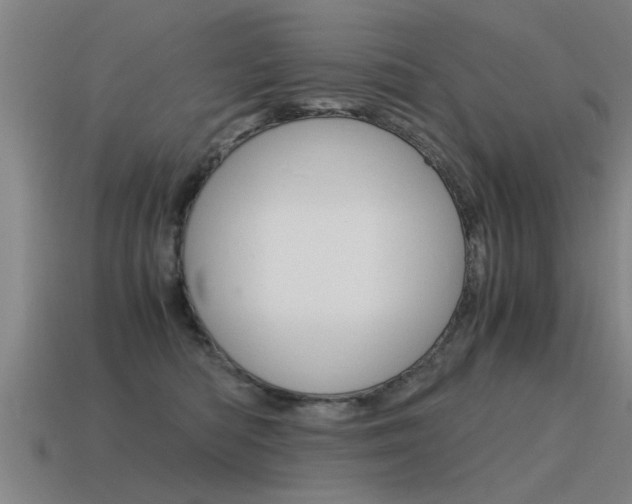 X0000115640422200911101100