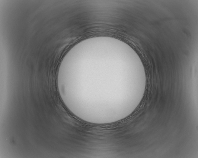 X0000115640423200911101100
